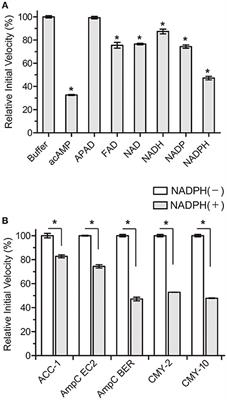 In vitro and in vivo Inhibitory Activity of NADPH Against the AmpC BER Class C β-Lactamase